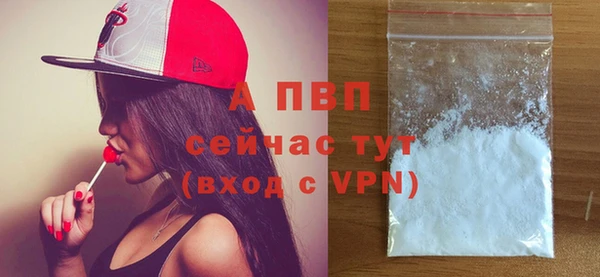 стаф Козловка