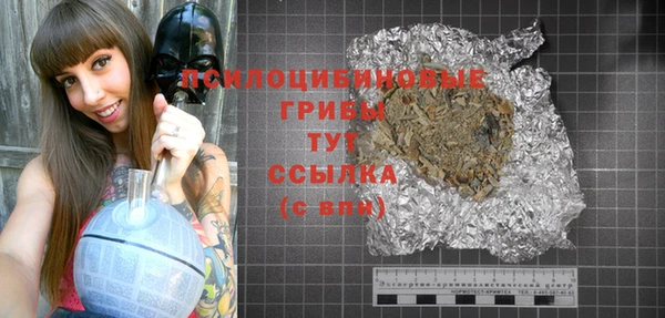 твердый Кодинск