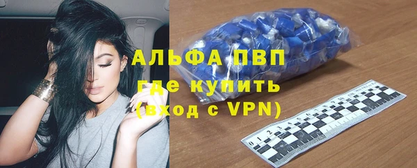 стаф Козловка