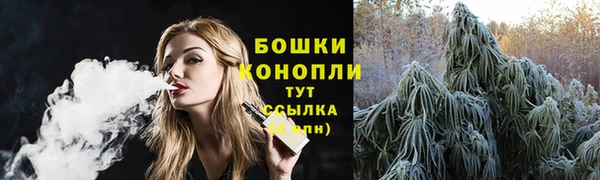 стаф Козловка